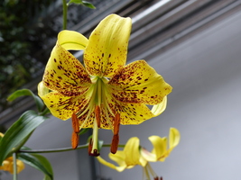 Foto: Dr. Peter Müller